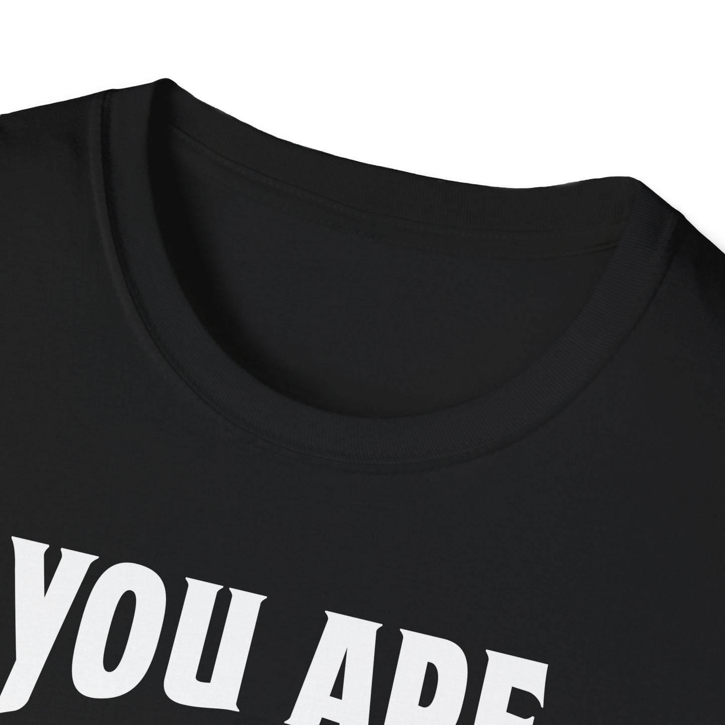 You Are The Cream To My Coffee Softstyle T-Shirt