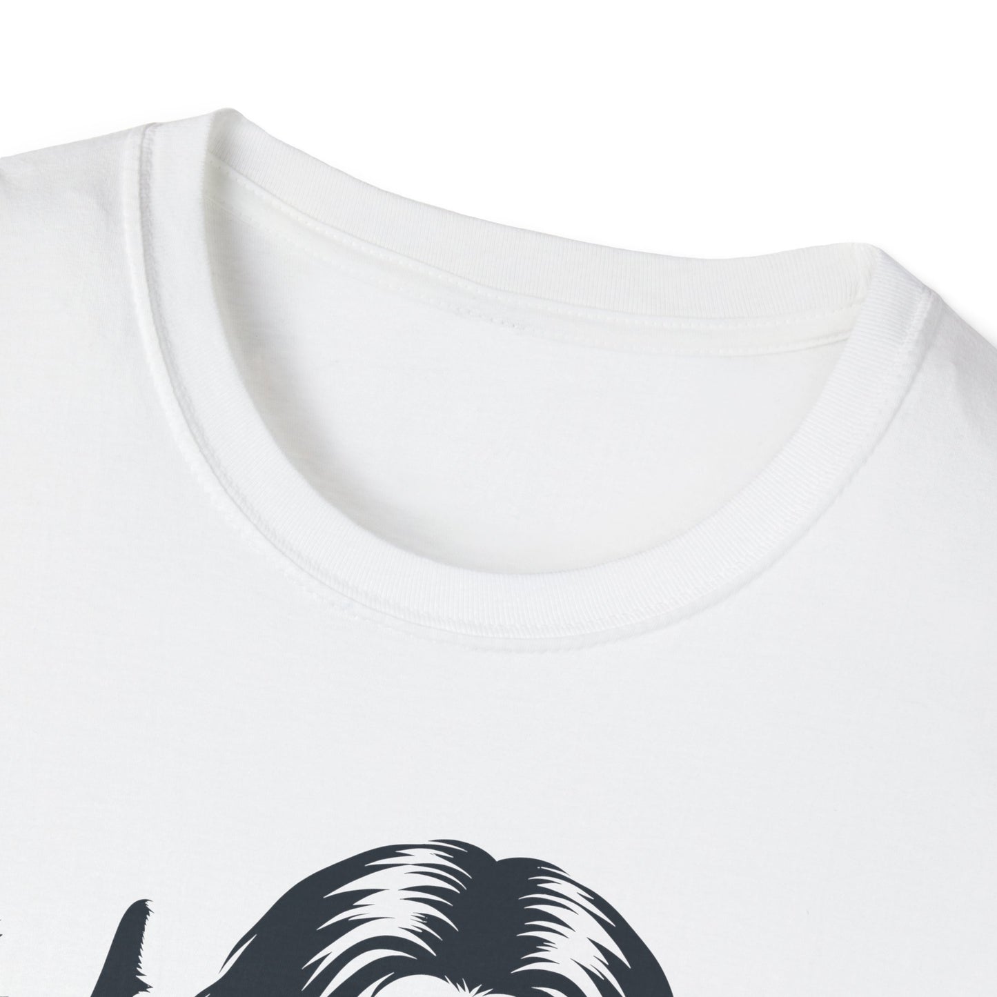 Jesus Softstyle T-Shirt