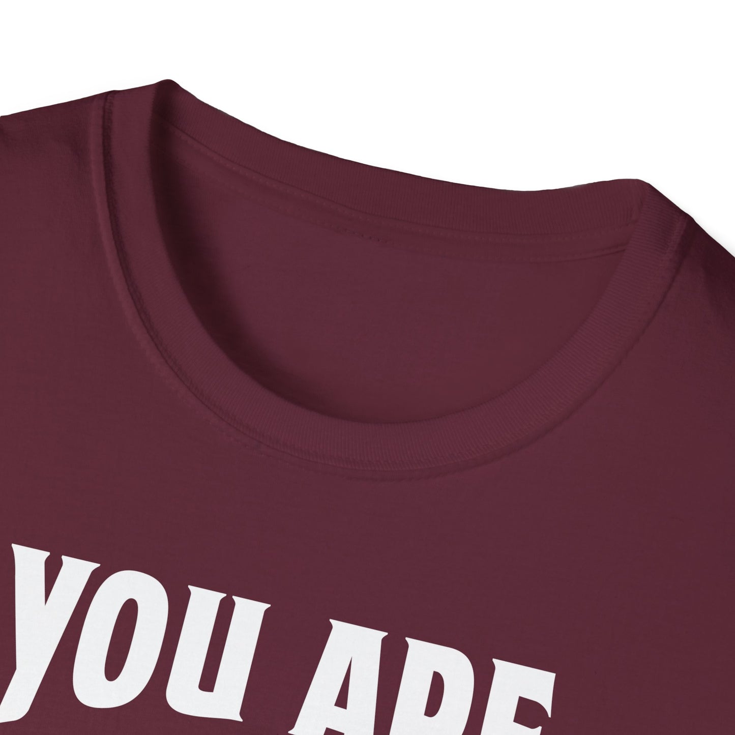 You Are The Cream To My Coffee Softstyle T-Shirt