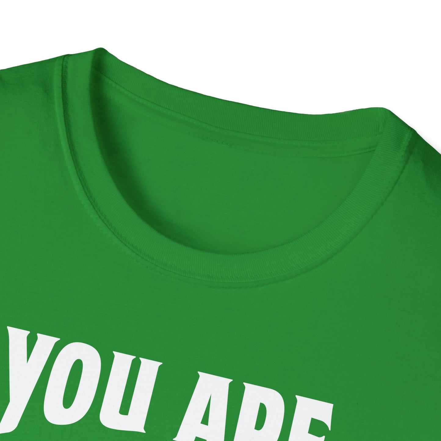 You Are The Cream To My Coffee Softstyle T-Shirt