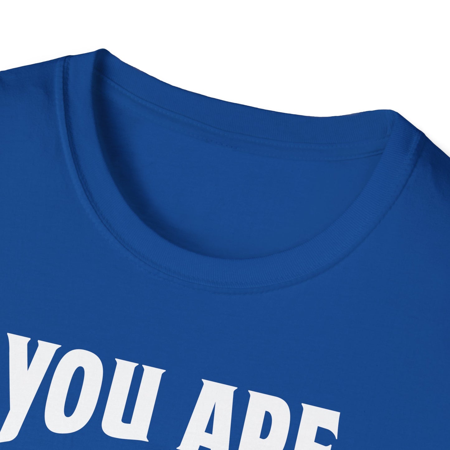 You Are The Cream To My Coffee Softstyle T-Shirt