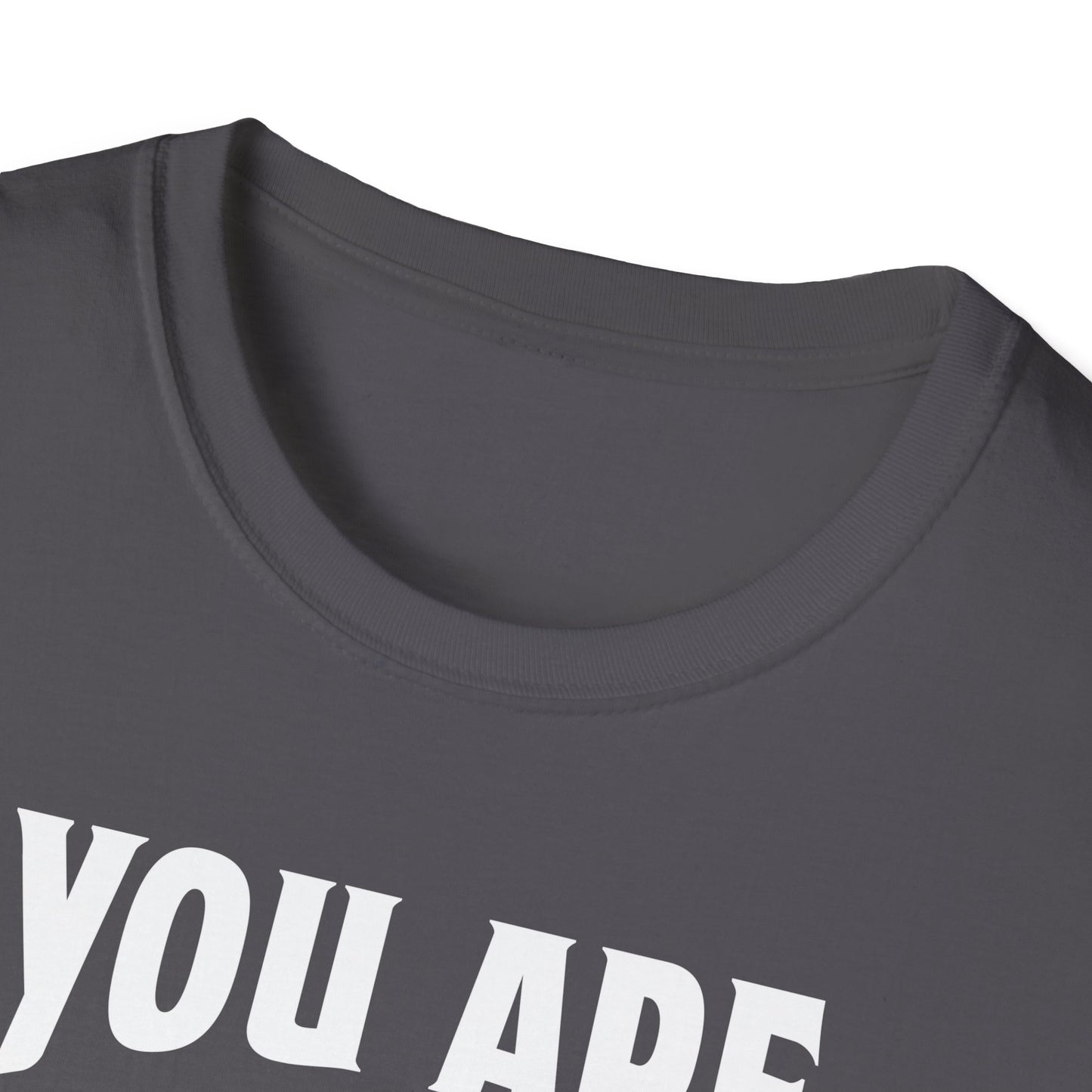 You Are The Cream To My Coffee Softstyle T-Shirt