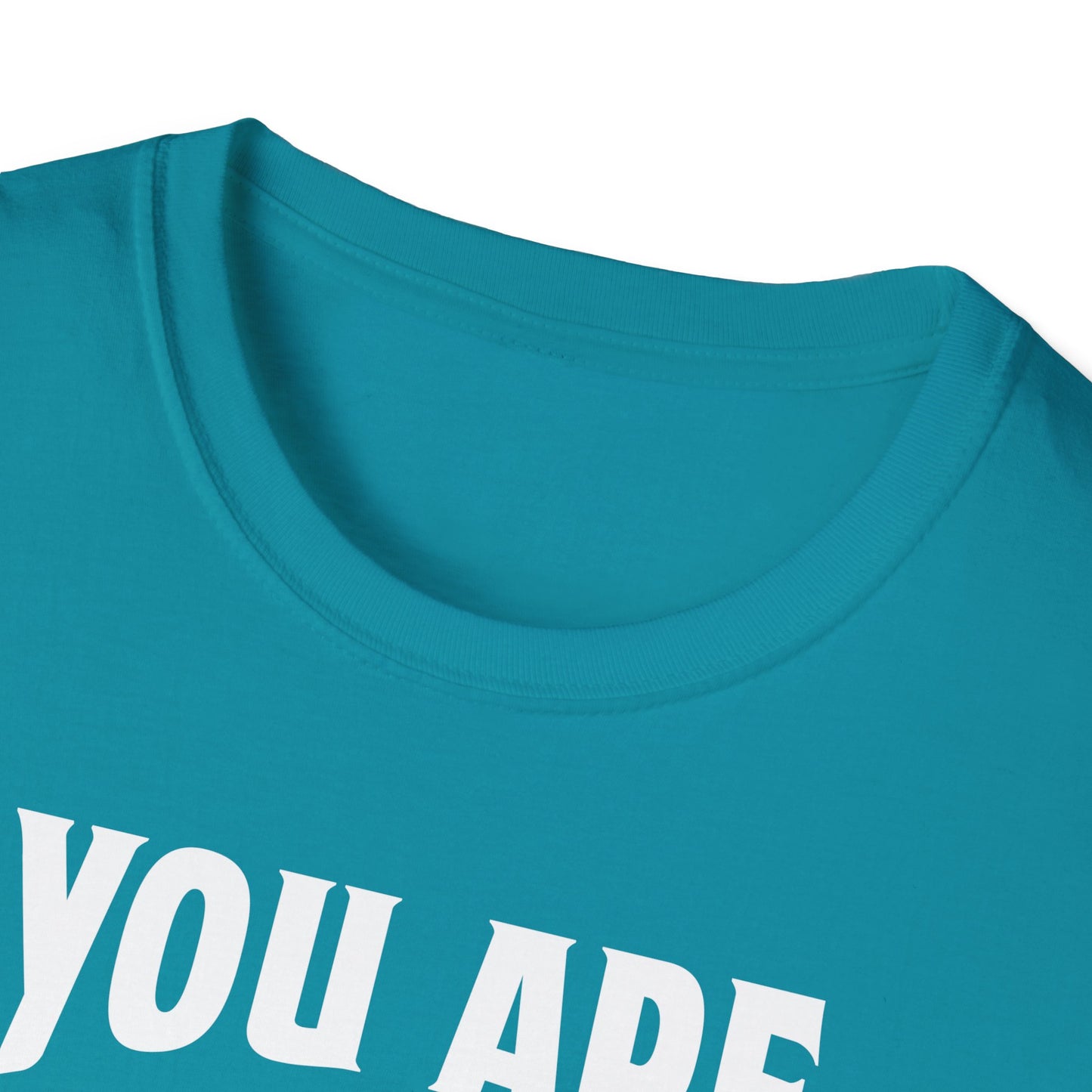 You Are The Cream To My Coffee Softstyle T-Shirt