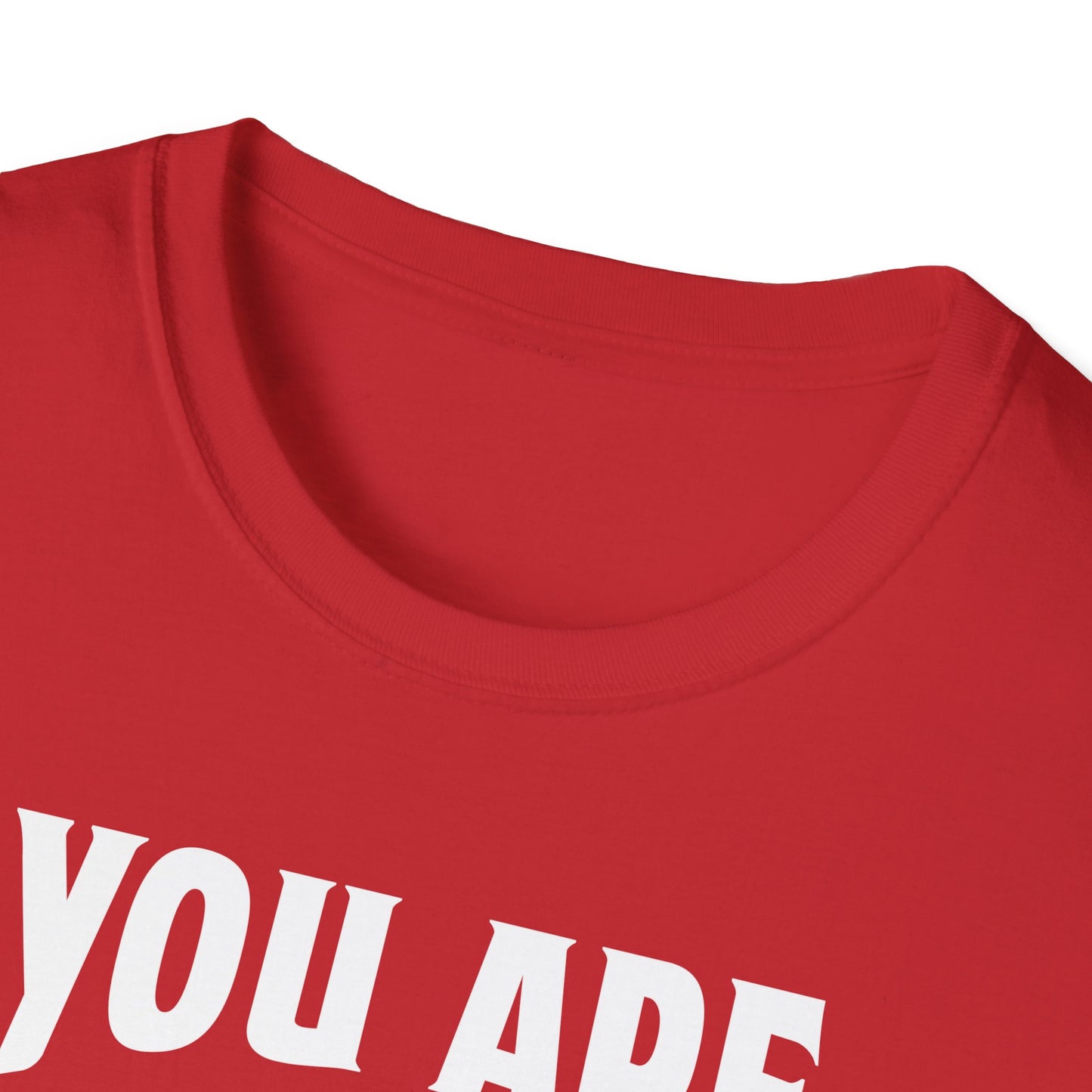 You Are The Cream To My Coffee Softstyle T-Shirt