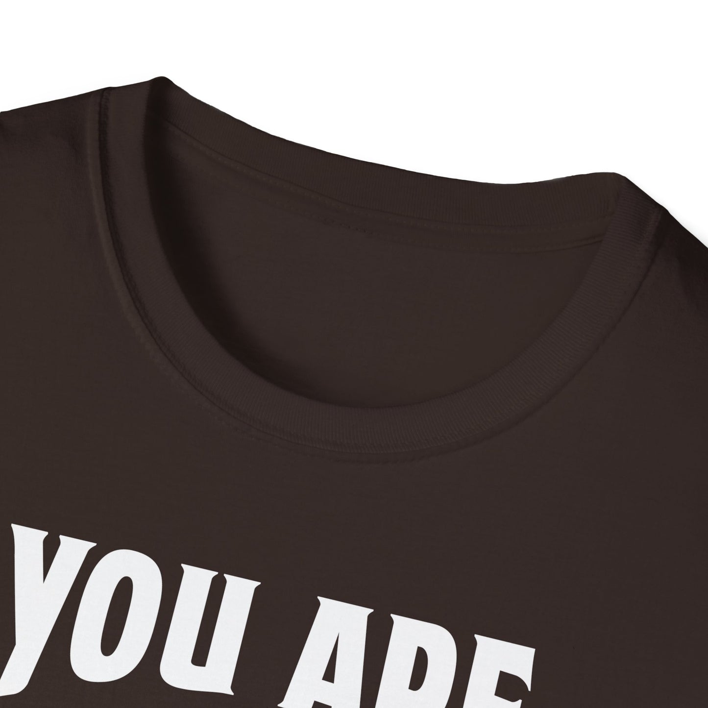 You Are The Cream To My Coffee Softstyle T-Shirt