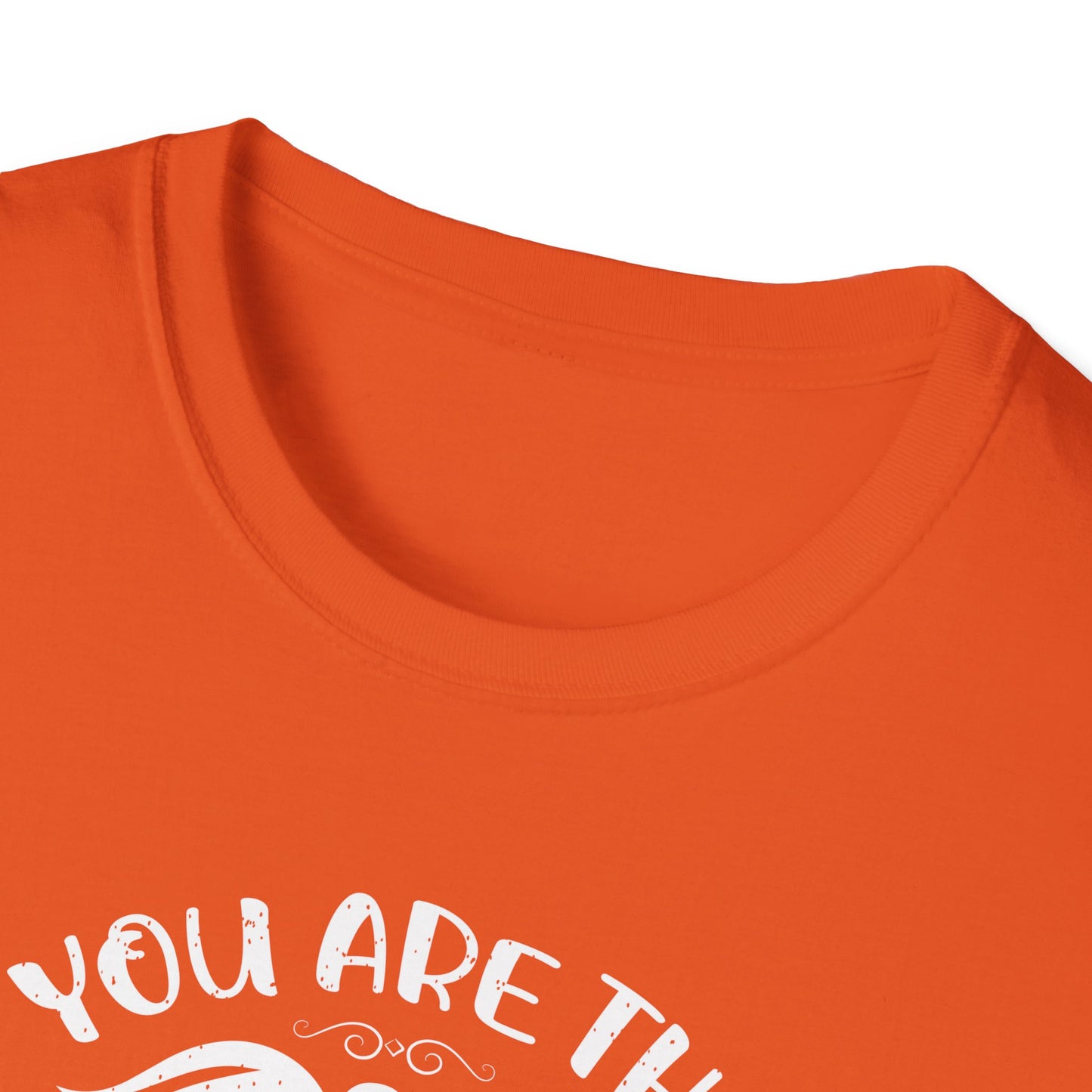 You Are The Cream To My Coffee Softstyle T-Shirt