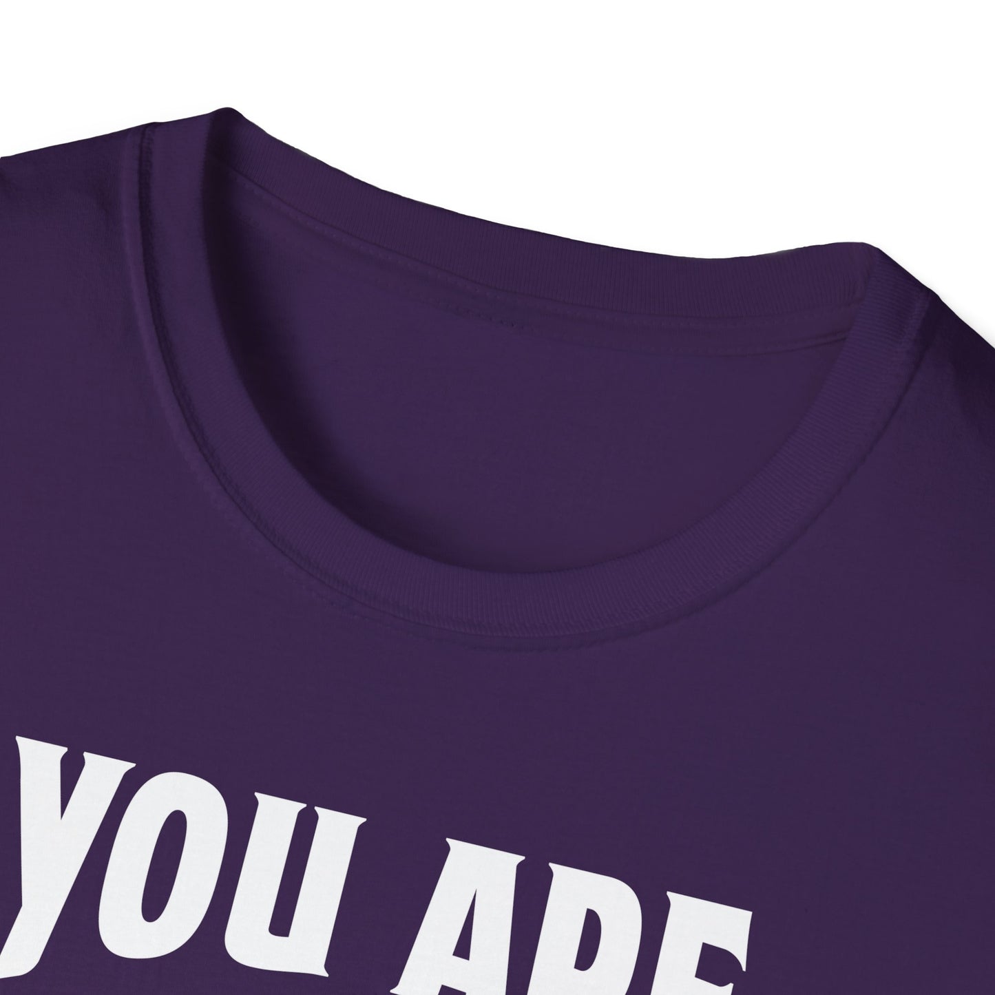 You Are The Cream To My Coffee Softstyle T-Shirt