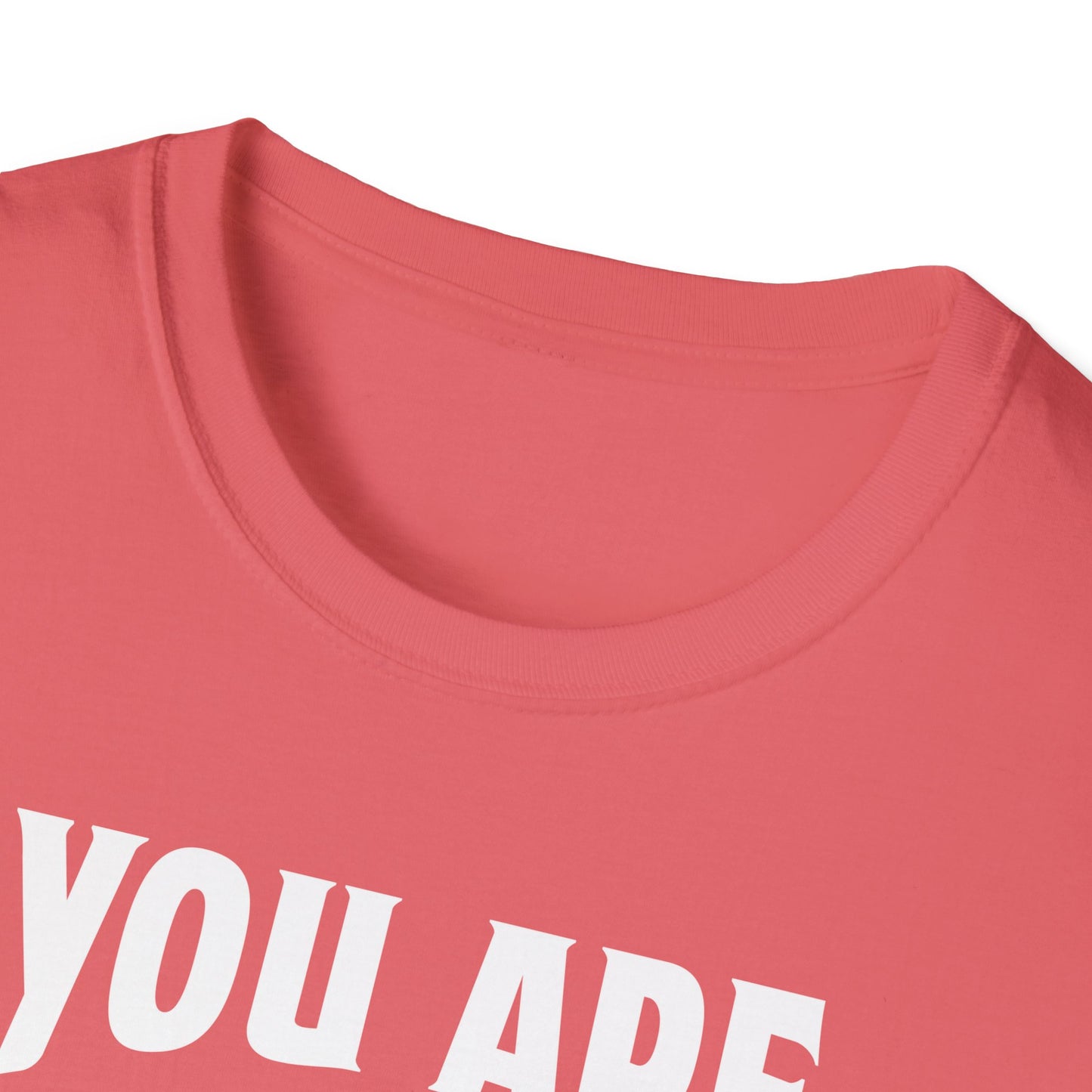 You Are The Cream To My Coffee Softstyle T-Shirt